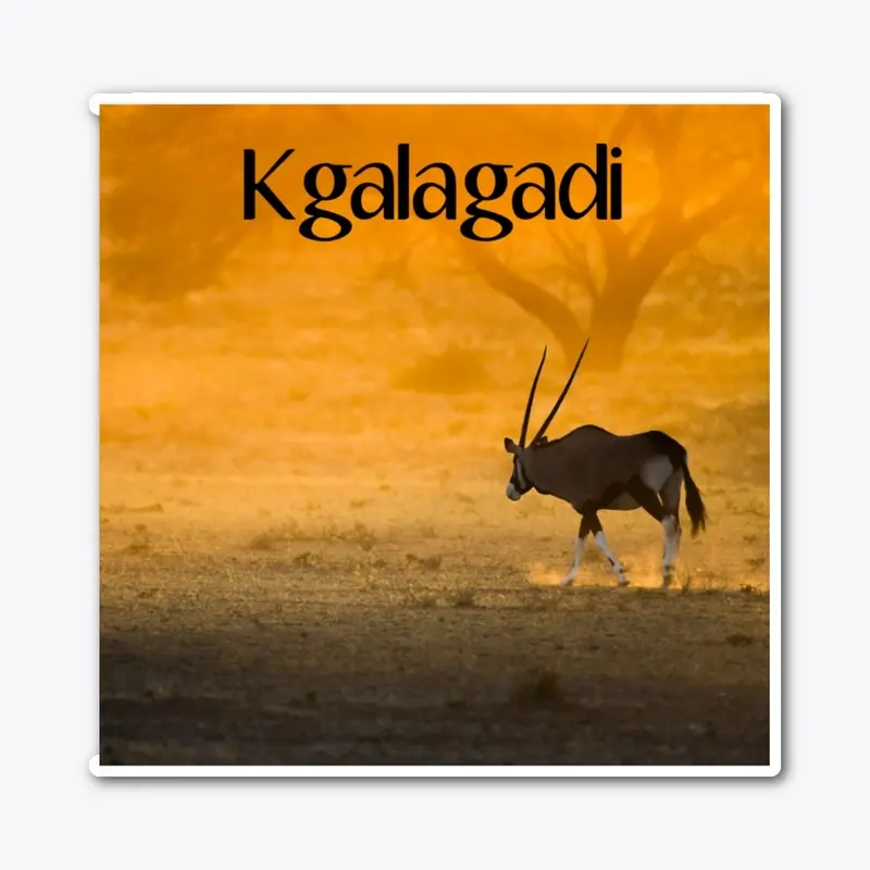 Kgalagadi Oryx