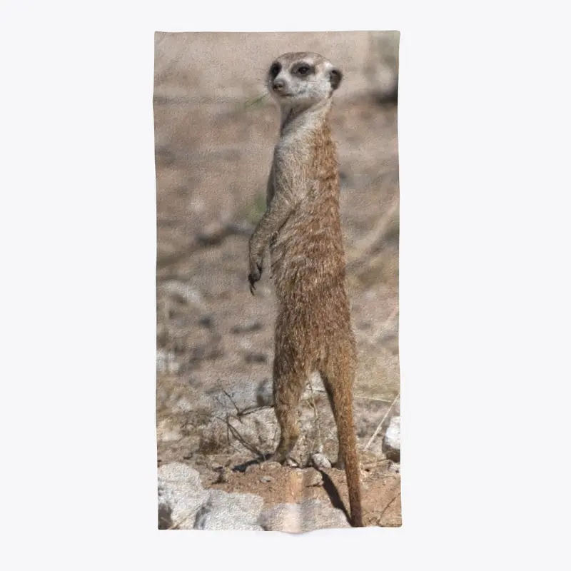 The Watcher - Suricate