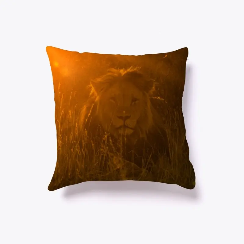 The Kings Pillow