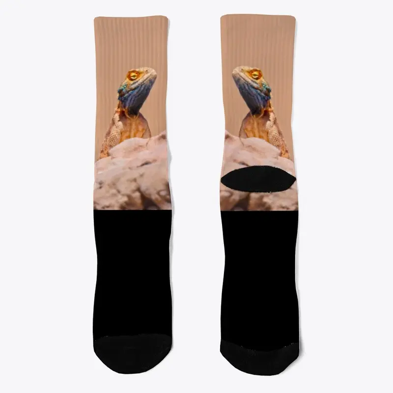 Ground agama socks